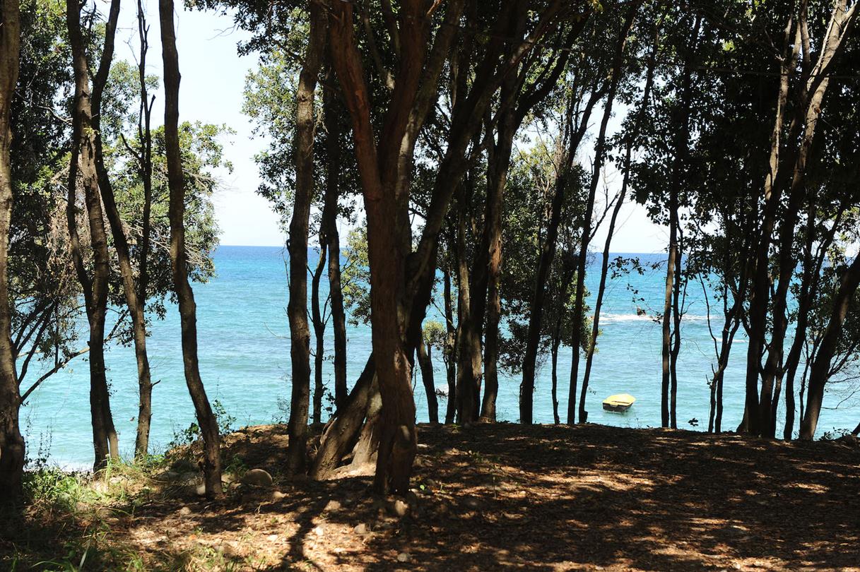 Stellplätze am Meer 4-Sterne-FKK-Campingplatz Campingplatz Korsika, Bravone - Domäne Bagheera