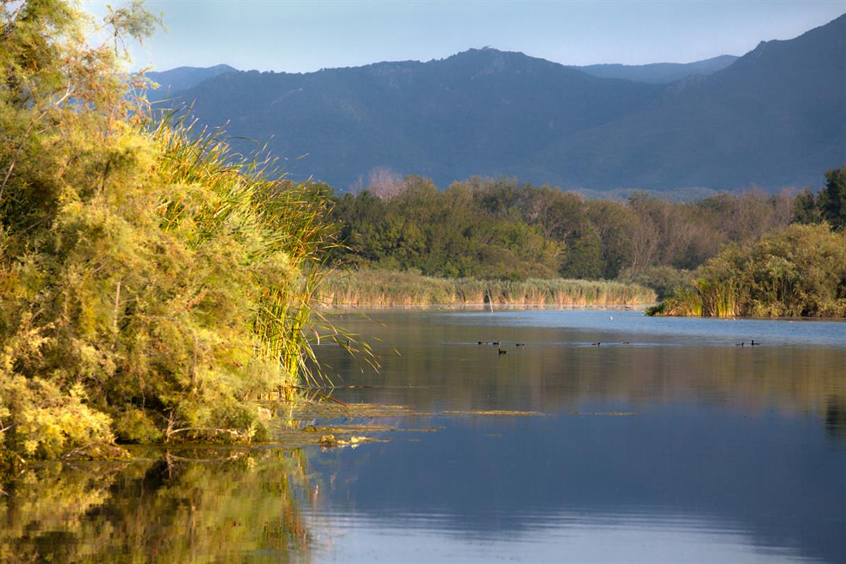 Etang U Stagnolu - Domaine de Bagheera
