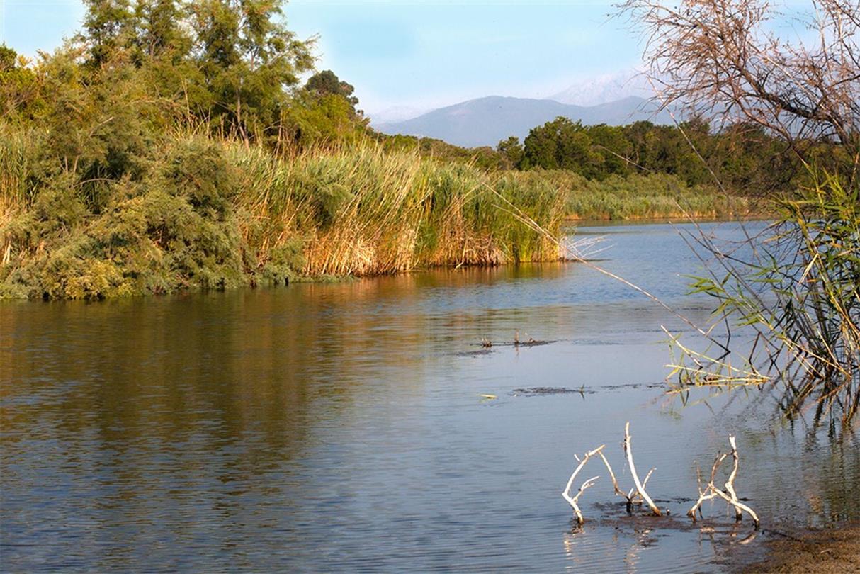 Etang U Stagnolu - Domaine de Bagheera