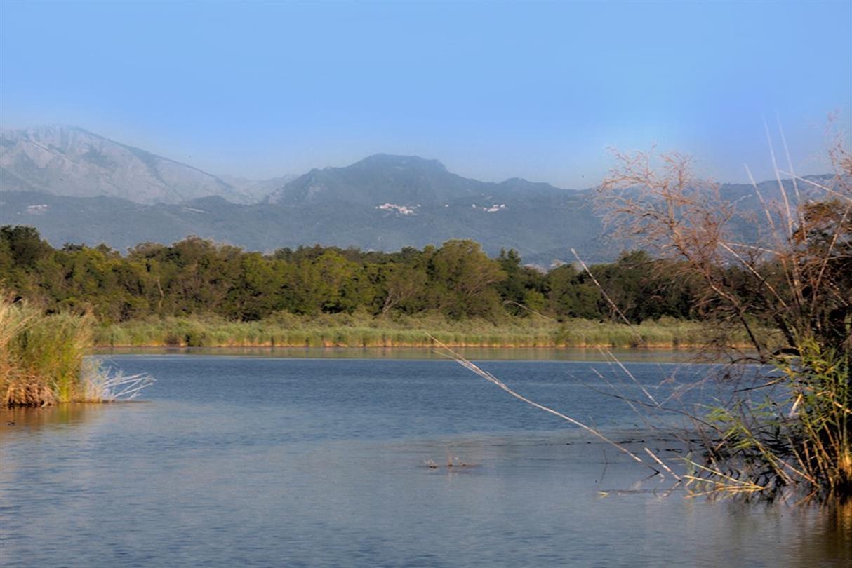 Etang U Stagnolu - Domaine de Bagheera