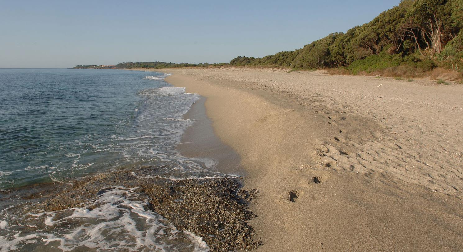 FKK-Strand - 4-Sterne-Campingplatz Bagheera