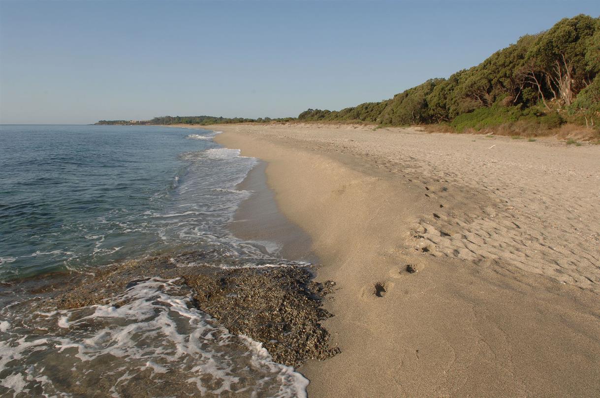 FKK-Strand - 4-Sterne-Campingplatz Bagheera