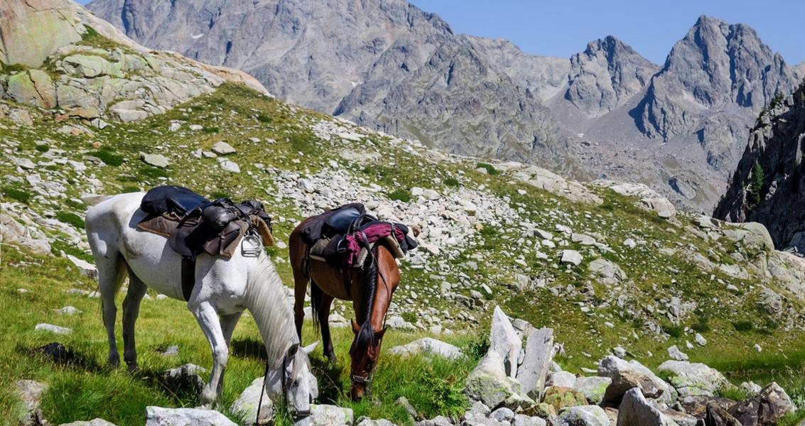 Reiten auf Korsika - FKK-Ferien Domaine de Bagheera 