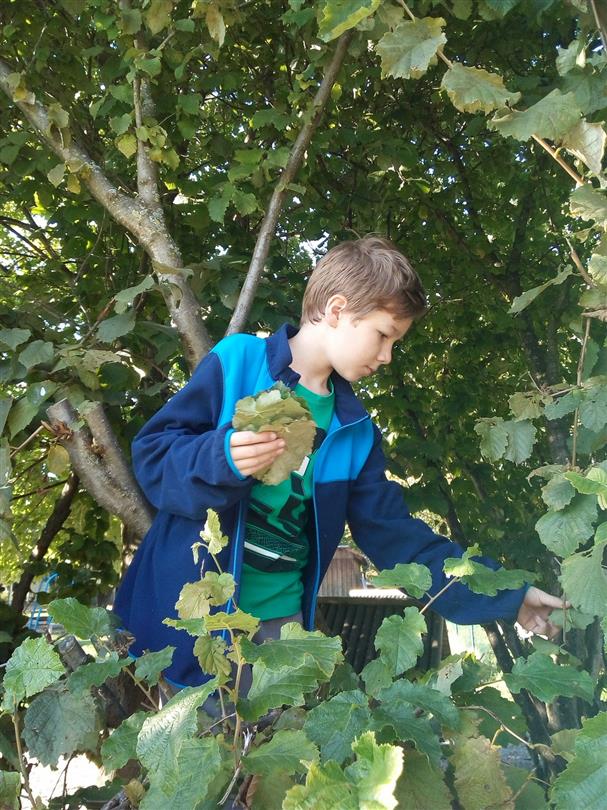 Atelier für Kinder, Bagheera, FKK-Campingplatz auf Korsika 4 Sterne  